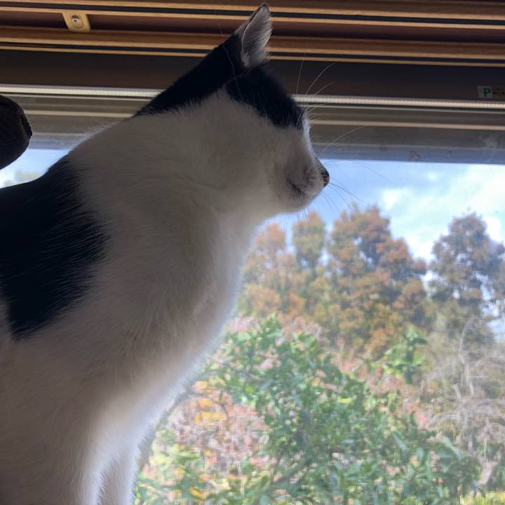 A01e2f7e c98c 4a9f ac03 a51b4813b0fb 1553779186725