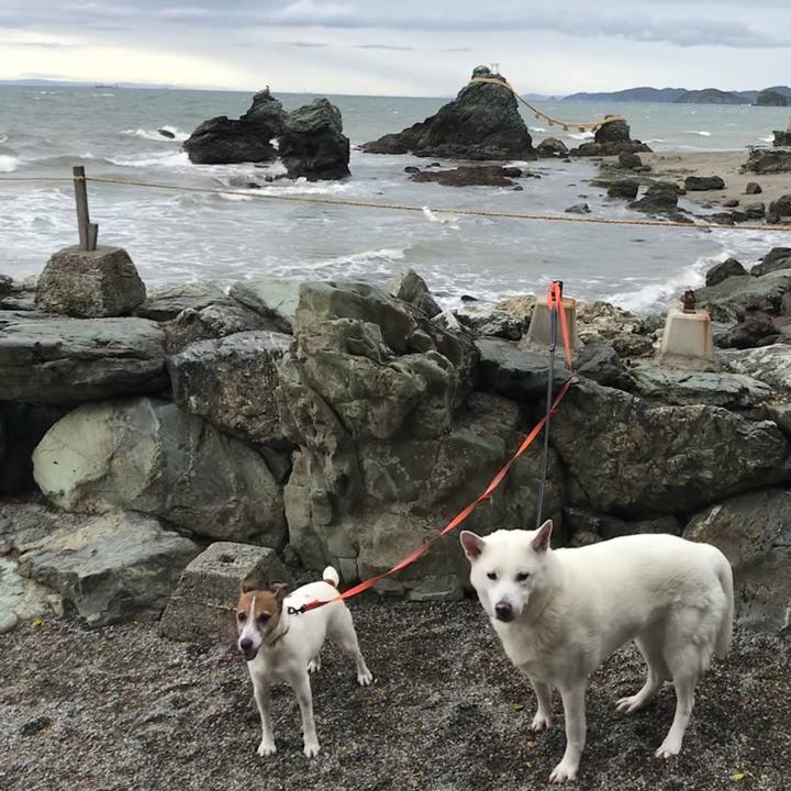 A01e4e4d 1b78 4b90 a200 6f28fad966be 1523793934884