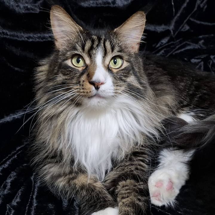 A01e5bea 0073 496d b444 db959691bee0 1767269086329