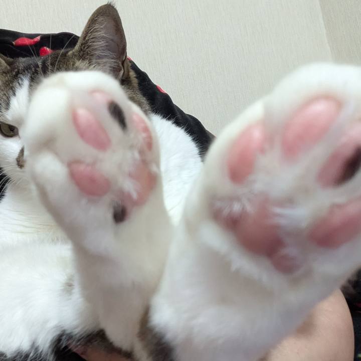 A01e6be9 1709 4016 9209 521e7f3c1108 1747294930083