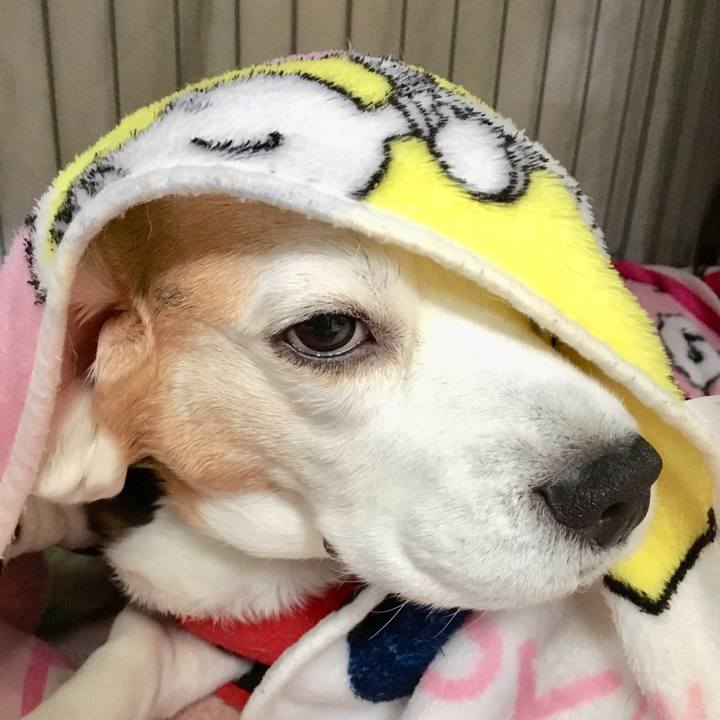 A01e9837 53ec 46e7 b99b b23ce662d474 1550549390301