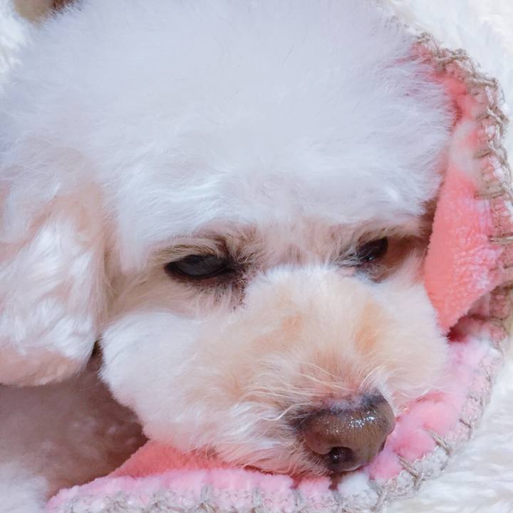 A01ed1c4 a8e1 49da b9fb e2def6cb406c 1516108121948