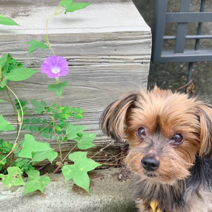 A01eda36 c647 4e16 a008 414bbceb6aeb 1631224856356