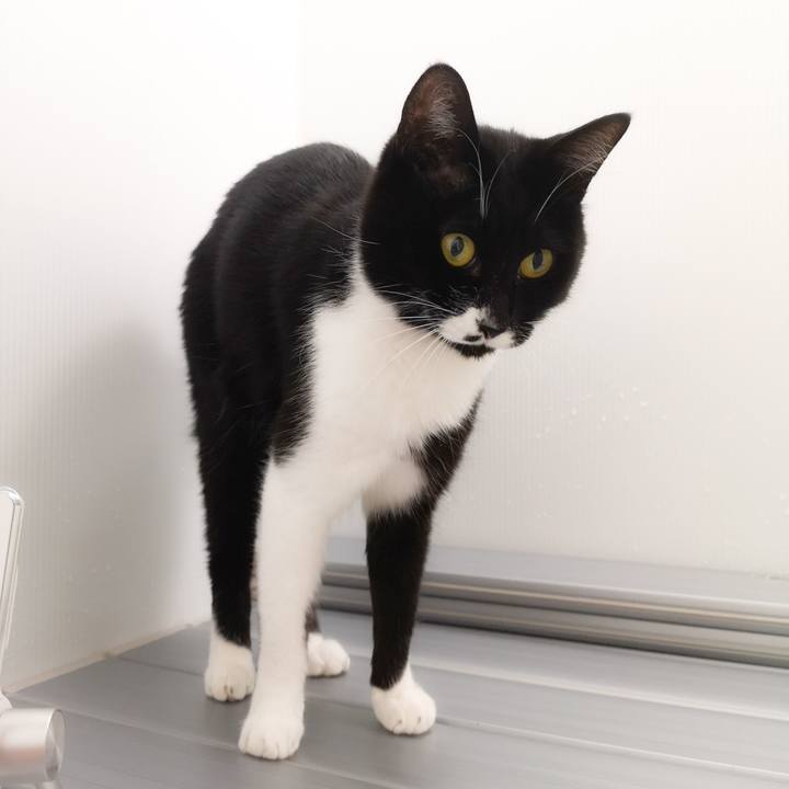 A01edb7b dbdb 440b 8457 eab5d6cdf3c9 1546969401378