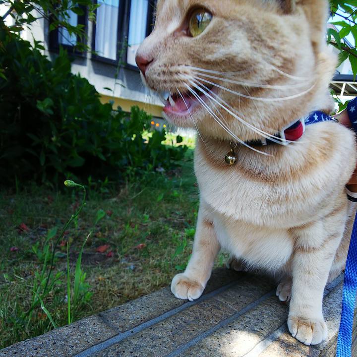 A01ee218 bfb6 4722 a43c 287eb96eebcc 1559964382047