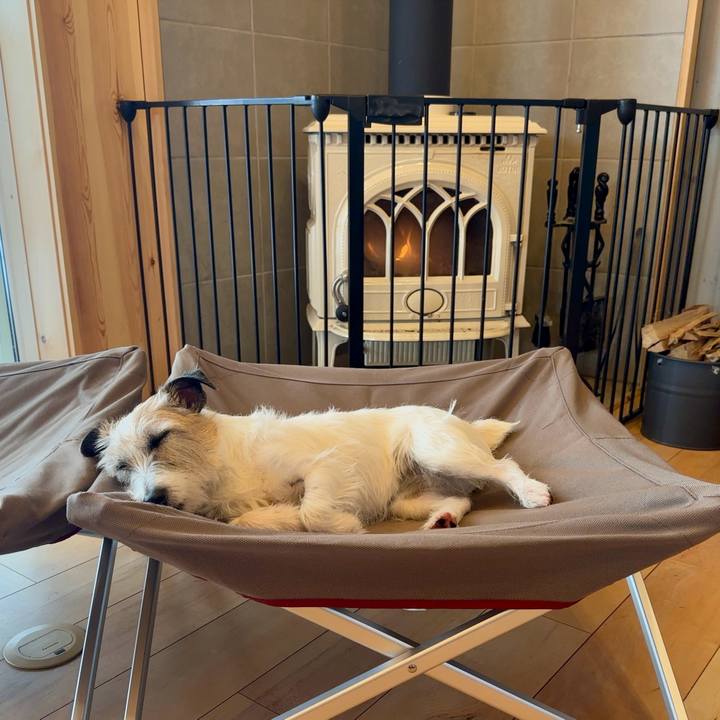 A01f2972 56c2 49d2 a9b8 d19ae27e507f 1738310289154