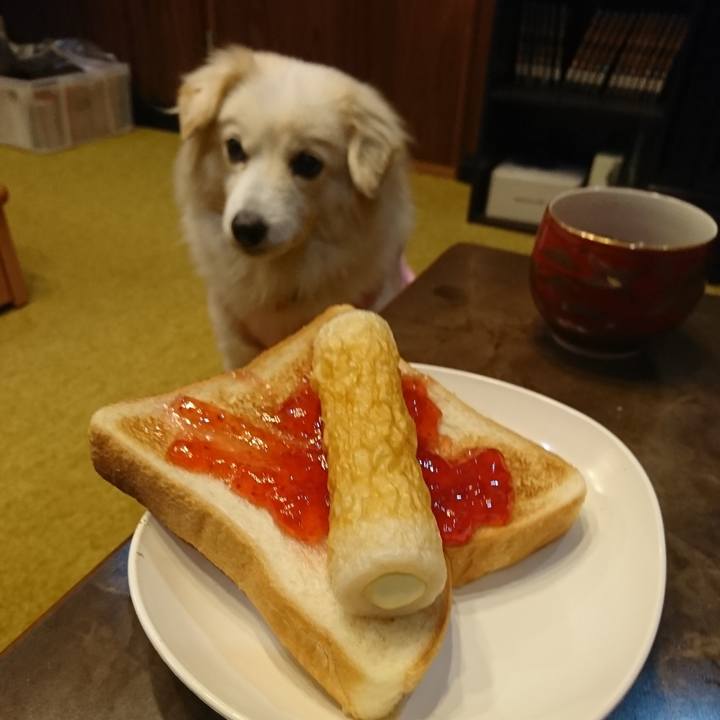 A01f36ca 4b85 4016 b0ad ecf402484fc3 1548623072924