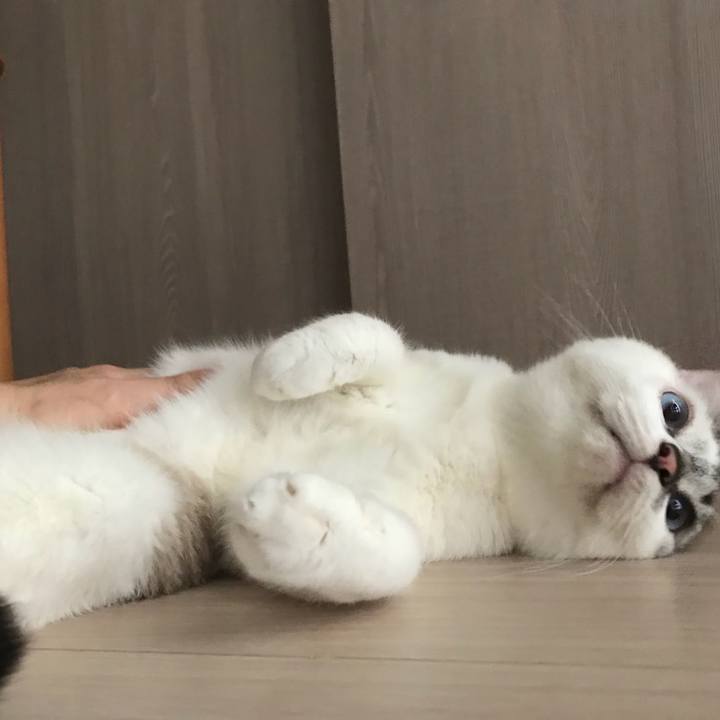 A01f4241 52fc 4bf7 85f8 ad7674ed8729 1526169953962