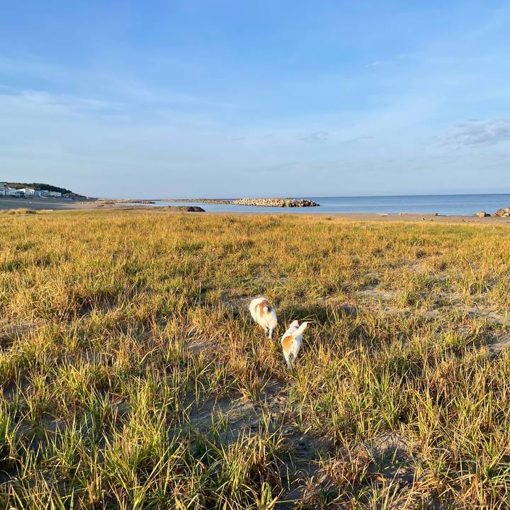 A01f60e3 d60d 456d 88dd e7a13e94e94d 1729989413548