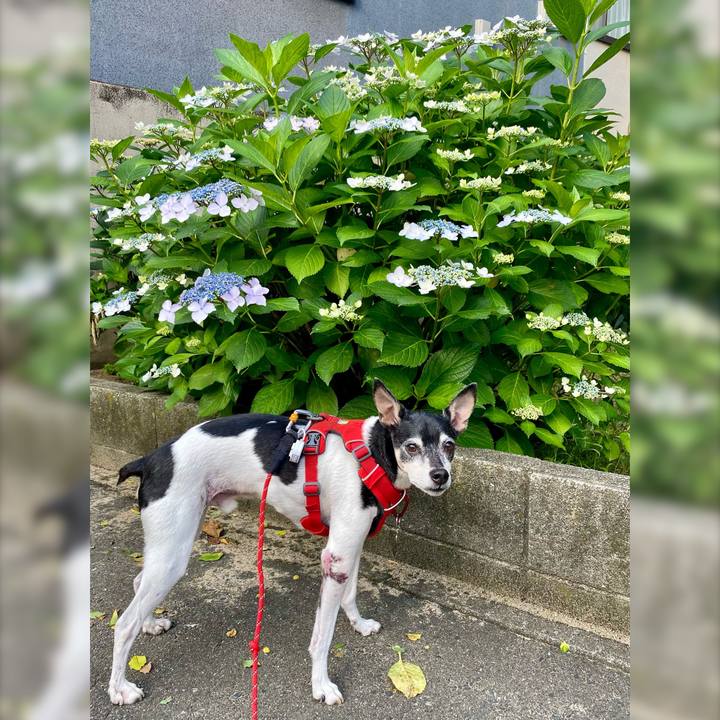 A01f7624 91d7 4556 8f12 d007fd3c8395 1621290276990