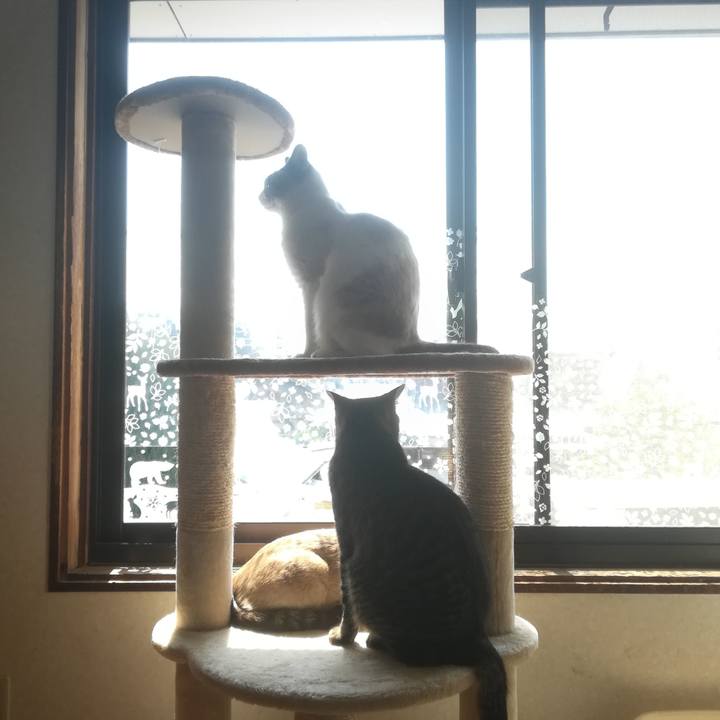 A01fb5fb 38db 4875 9553 dd577a76b599 1521861232900