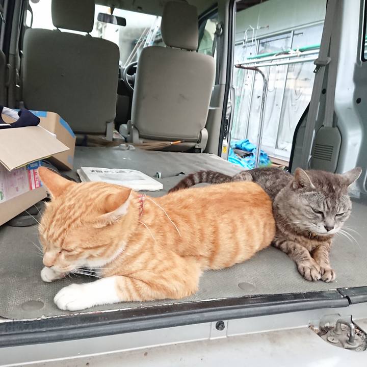 A01fe5fb 2de8 4e4a 9493 2b62cb87e675 1563960249125