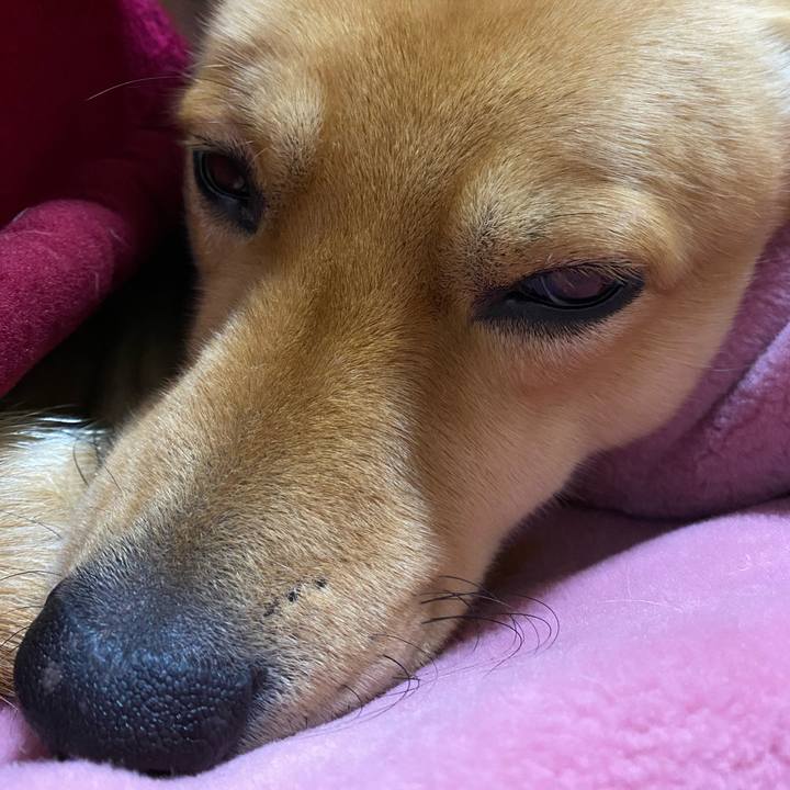 A0200829 32e6 4a12 a4ce 173b74619619 1609677486693