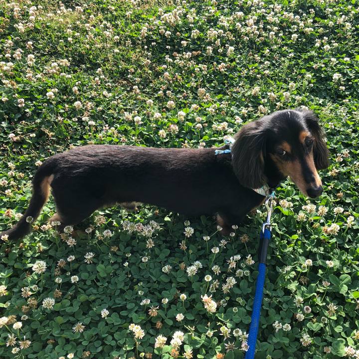 A0204780 83fd 486e 815b 8795f4db91e4 1559775649807