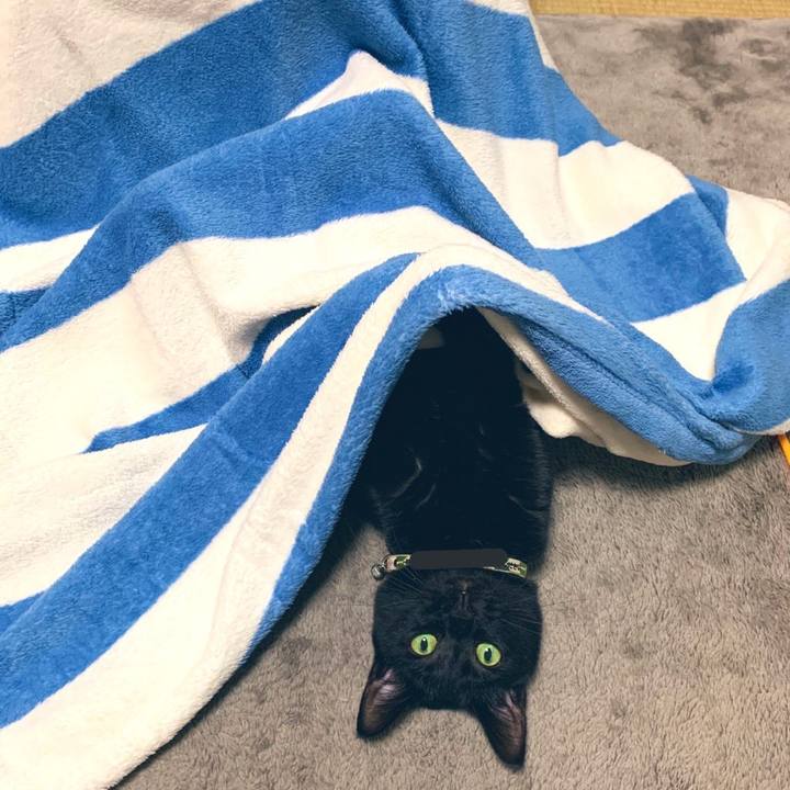 A0204812 6b75 4e61 9a5f dd28ca476358 1573735235646