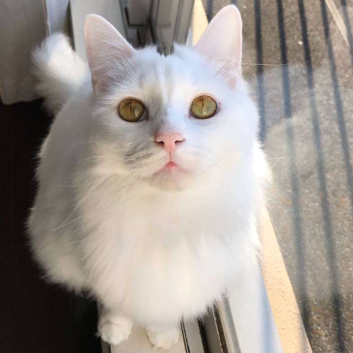 A0206d96 5a73 49a3 8672 2c2c41b92381 1546772370316