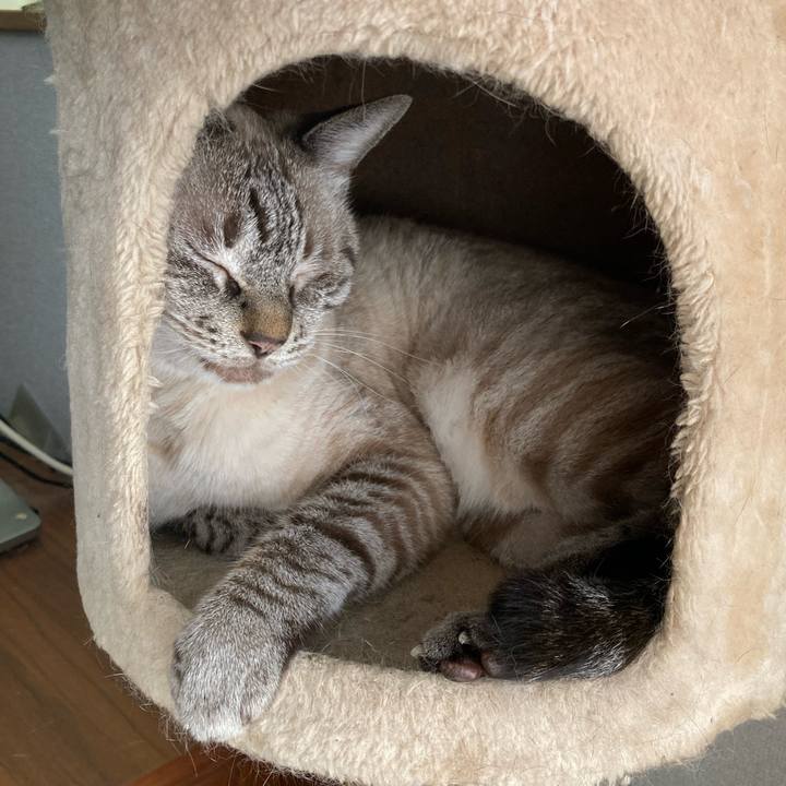 A0209c05 8b26 4114 8a1c f225412ffbdc 1762301109602