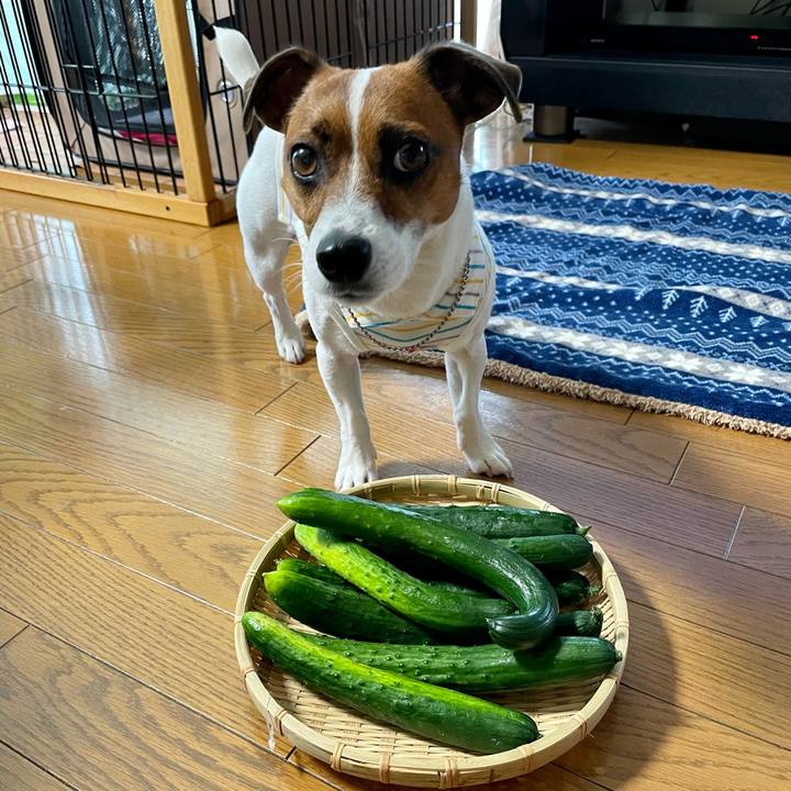 A020ab7c 38f8 4c14 80a9 a30240d3fd77 1625551601811