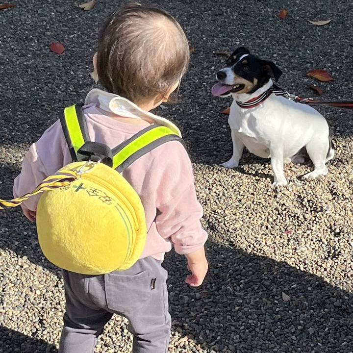 A020ae38 cec2 400b 802b dafd68ece96b 1702552593649