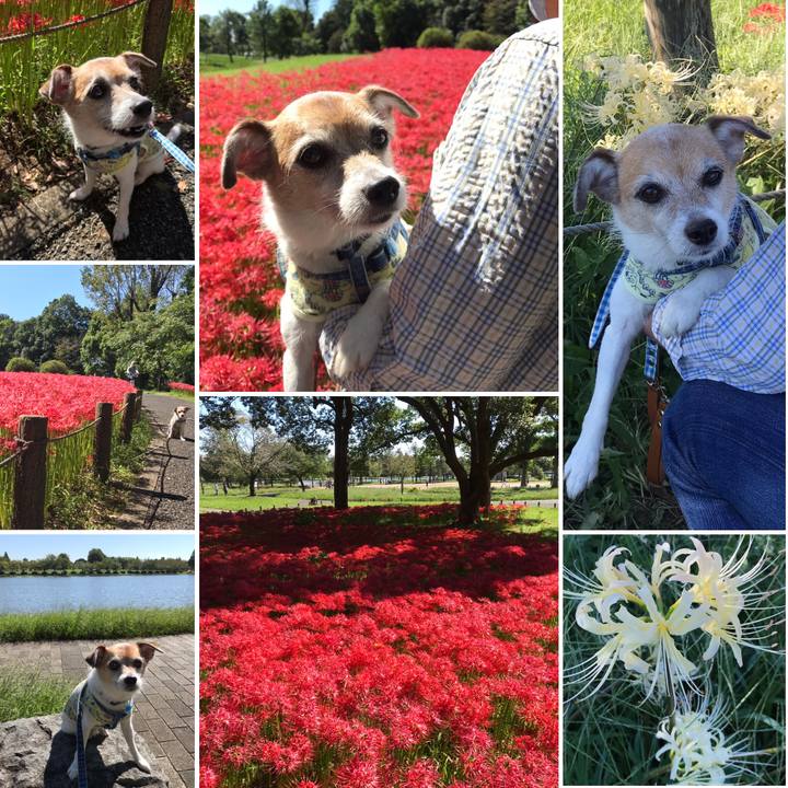 A020d2b5 823c 4921 a81d 4f40b28a3912 1632106226613