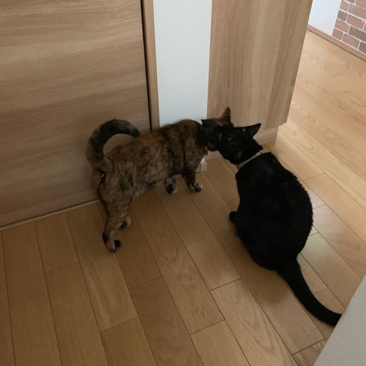 A020e7b6 17f7 455e ab98 f27a4480e7e6 1567832933505