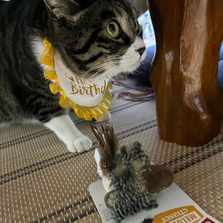 A0218143 d6b5 40a1 8a67 9c11d8e73d3d 1776210115524