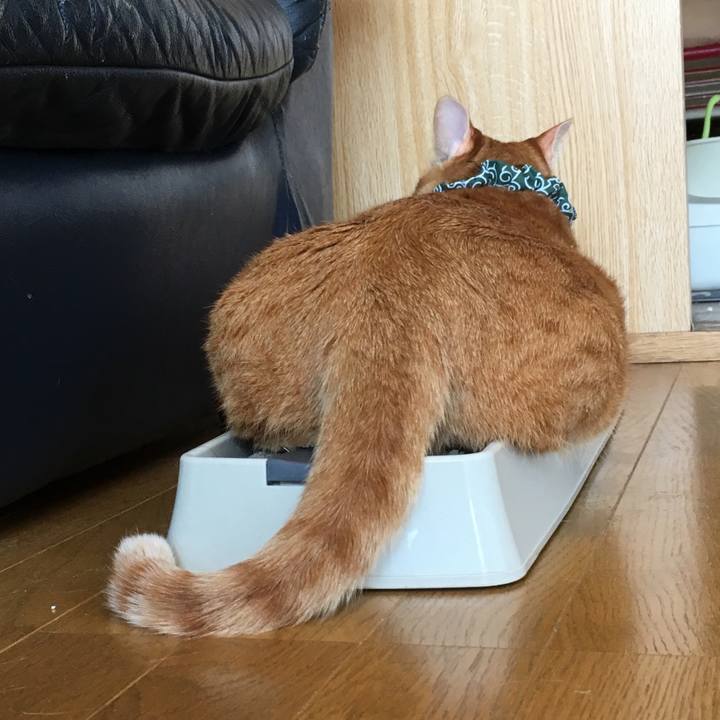 A021a227 d64f 41cd b5e3 9fcbb35f362b 1566108483569