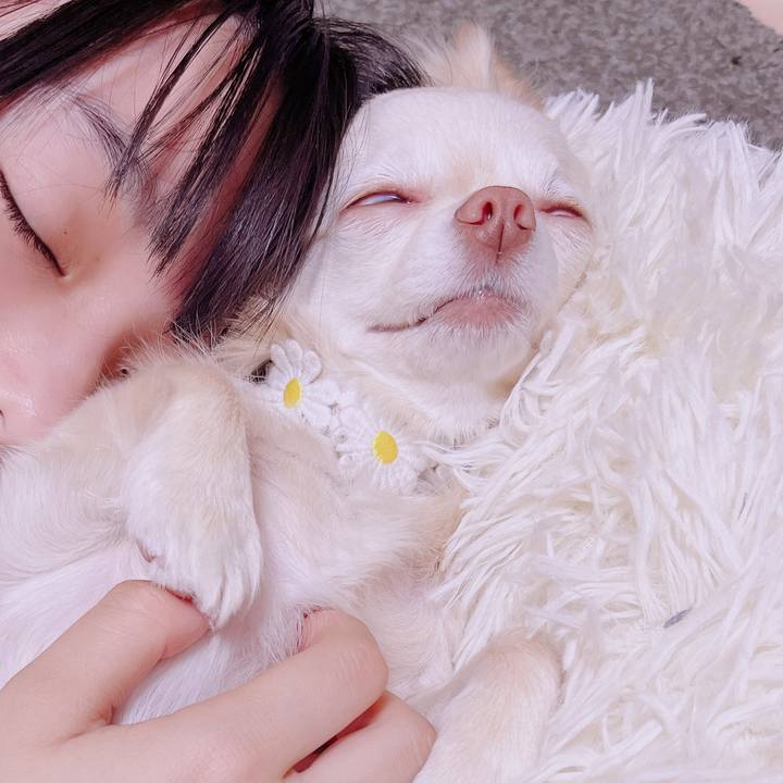 A021a770 38a8 4605 a876 0c38f606592f 1681466131662