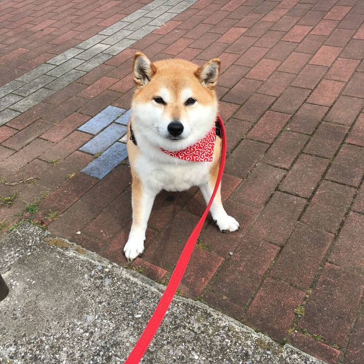 A021b707 5f35 4150 b87c a243971612b8 1592265052916