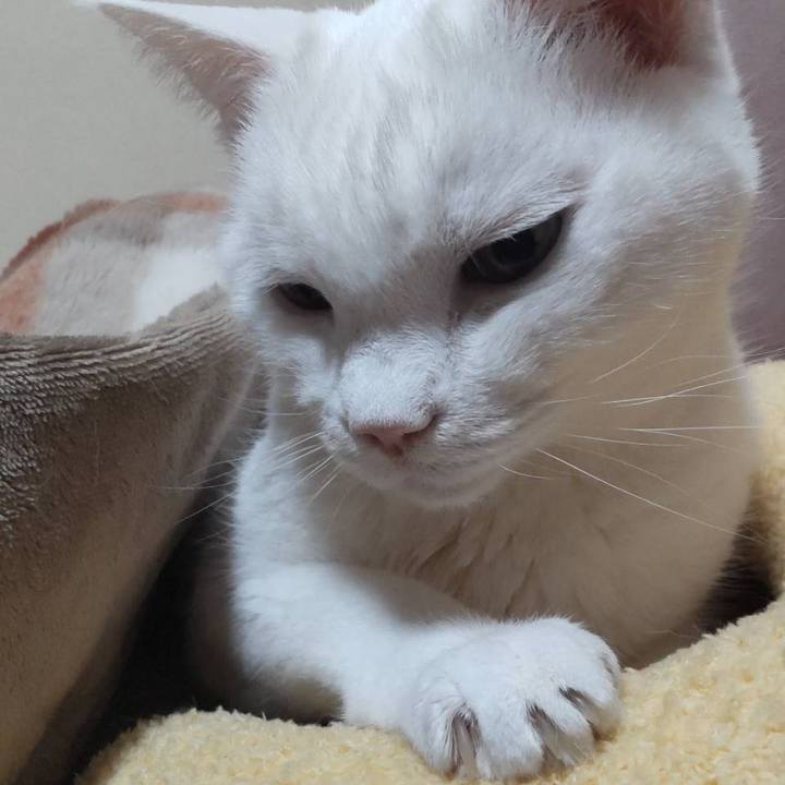 A021c0b5 8948 418f b65f 2466ff59fbd9 1768313562595