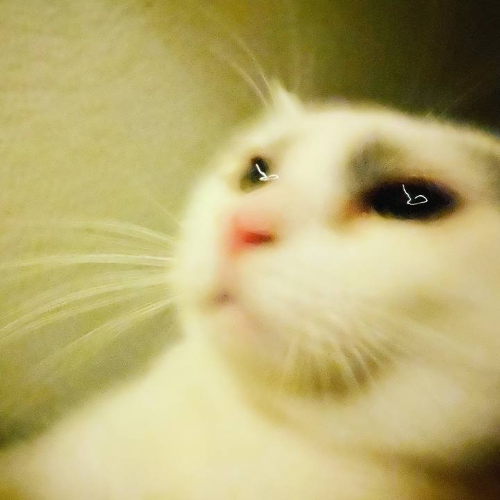 A021d5bf ded0 431b bcc0 935efbda475c 1582383569675