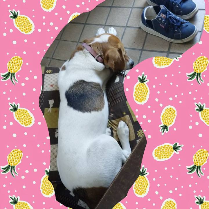 A021dfe9 d64c 4f9d a8f3 450e5f01ffe1 1591588033827