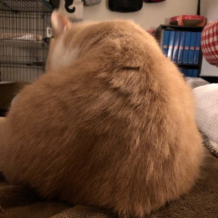 A0221551 3051 457b 96d7 9d38525fca90 1570538965542