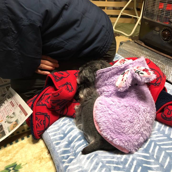 A0226af2 38b5 43b3 9f19 29a6290c4ce4 1672665625337