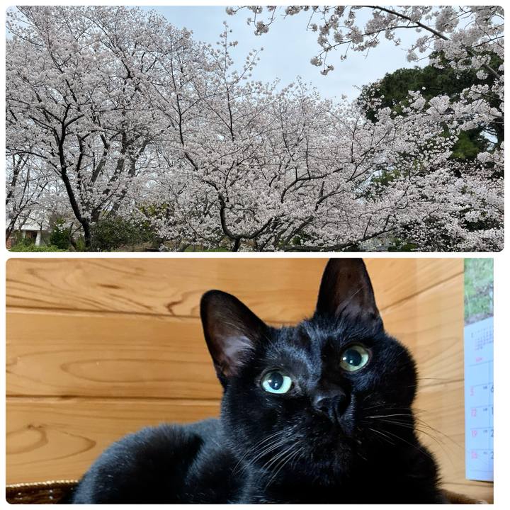 A022964f 85ff 46e7 a359 ae8a2e1ff996 1712060611324