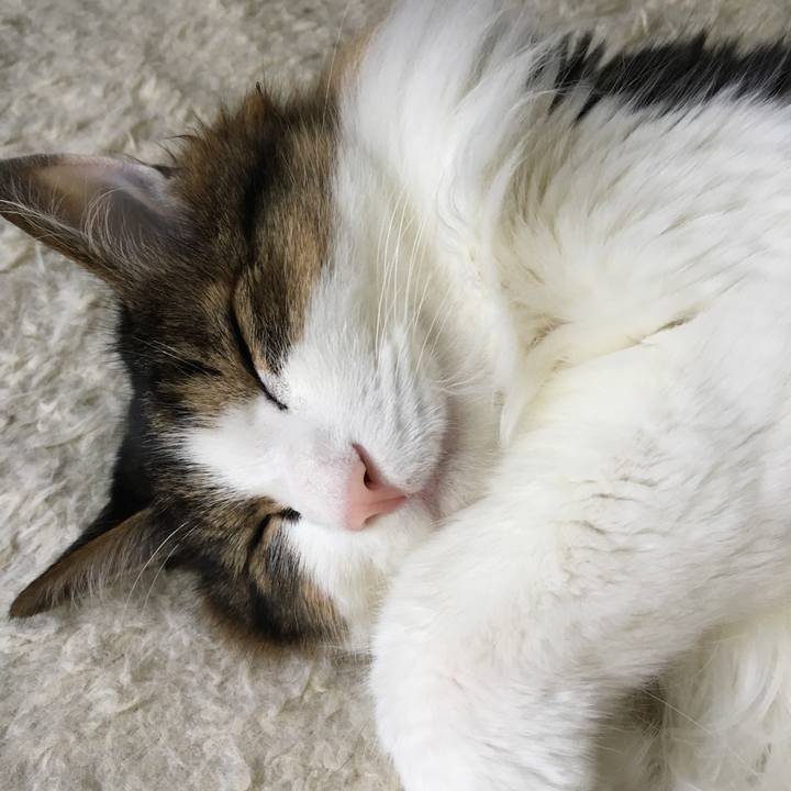 A022bd87 d2d0 4fc3 b819 5baaef08deb9 1562413579391