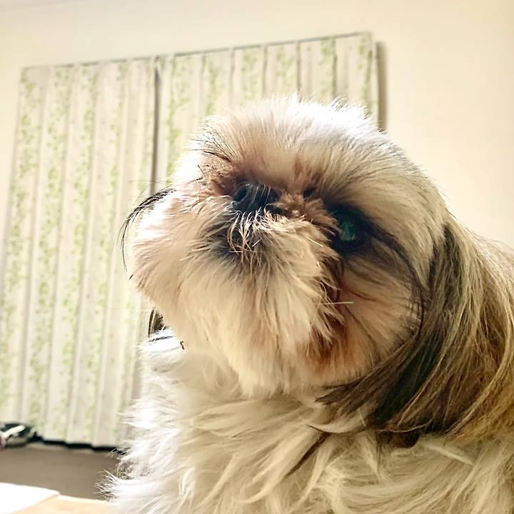 A022bfdb cc5f 448e 8e84 6bd7be74adf4 1673272747792