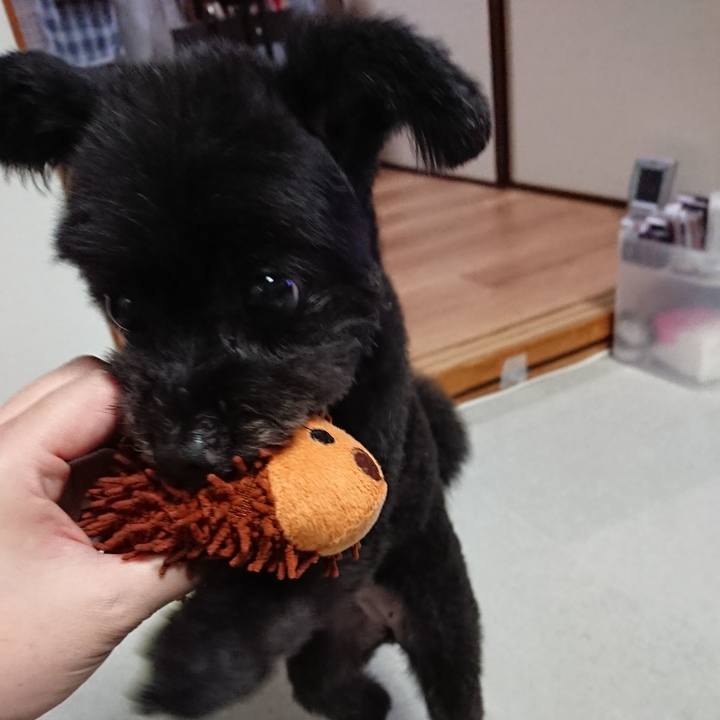 A022d1b4 6d13 4182 9449 34a7068517b8 1563194047073