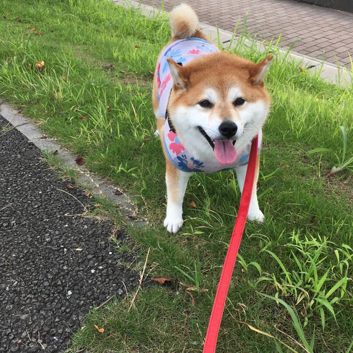 A022dd90 7f7b 4e00 be70 43473d6da9ba 1596584872754