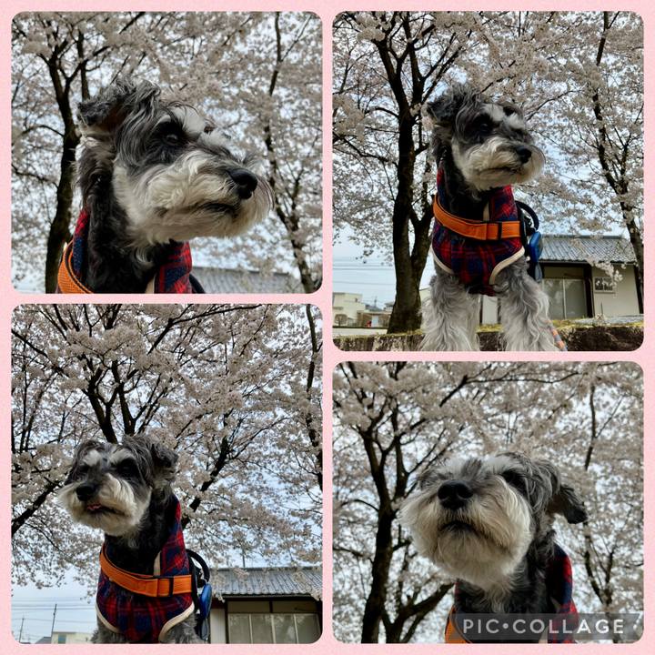 A022e562 5198 4225 bc49 7c4298b59835 1744553683112