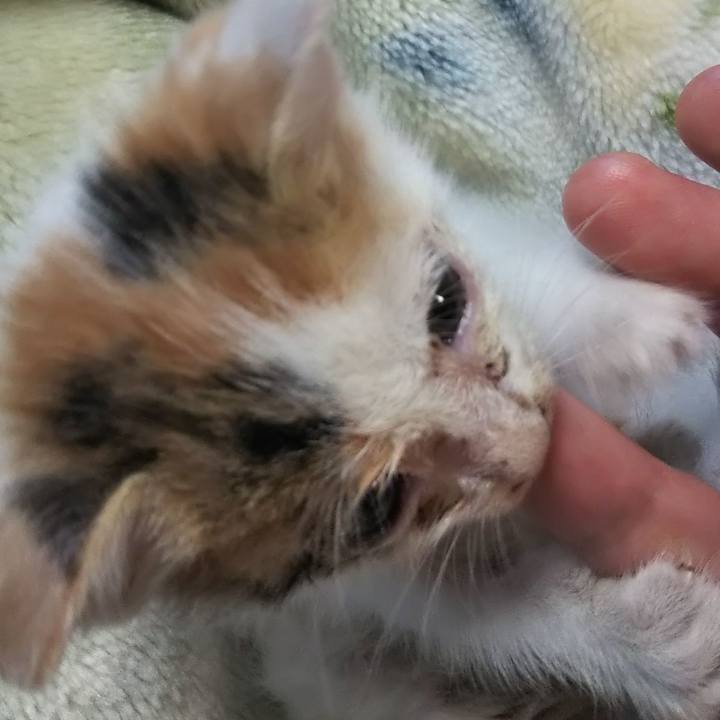 A023071f 6a88 41ab 9d65 4527b0e91da7 1632007410281