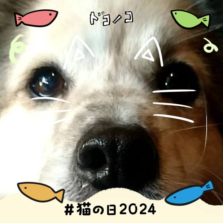 A0230ad4 1cbc 4a99 beb3 3bd3ece56a83 1708610266239