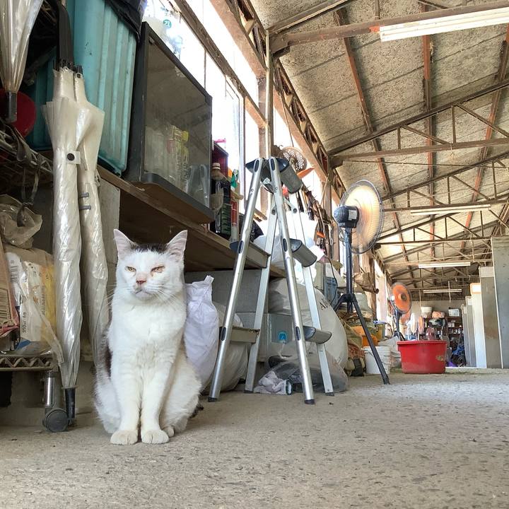 A0231141 ef39 4a36 97bf c47ce4efb295 1592614264078