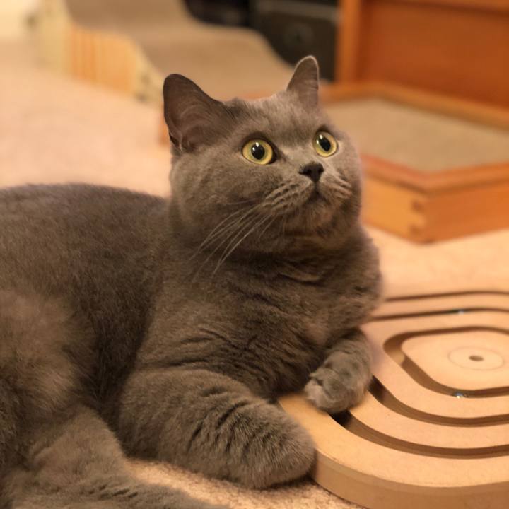 A0231e3f 3c20 4a05 85a2 87870c3289fe 1526467148103