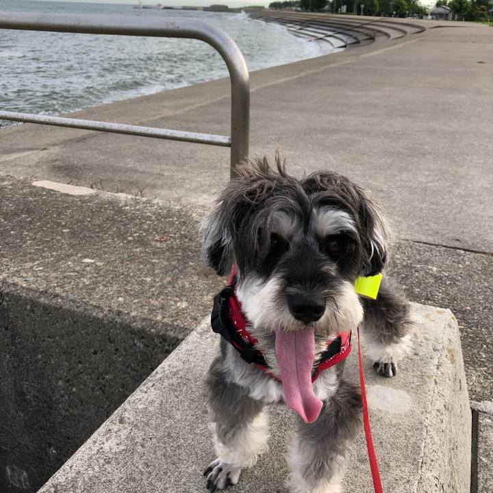 A0232ac4 046d 41c4 82da c1df98570373 1532816841921