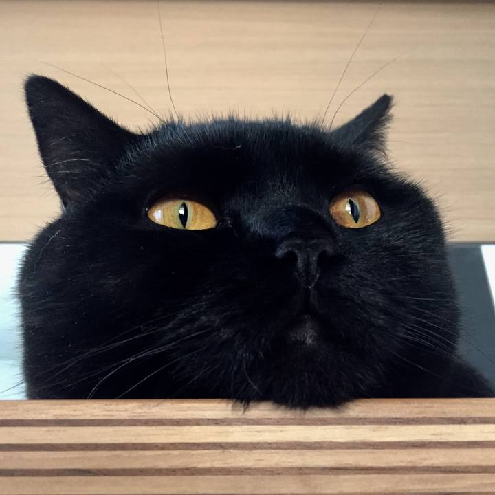 A0237db4 d4e9 4d48 b040 5cd793901a42 1524872236693