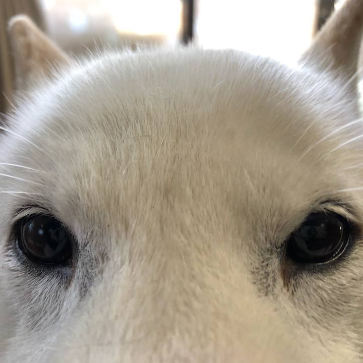 A023a931 2b5a 466a 9e54 f69eaeb4b77f 1645833520856