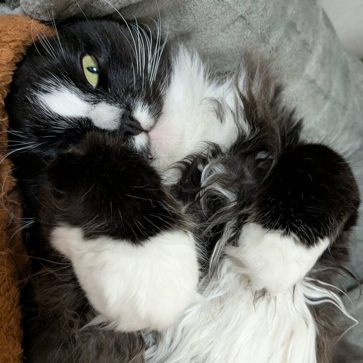 A023c5d1 3958 46bd a230 f116e745afe6 1744092302486