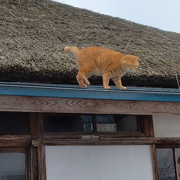 A023f4db 1067 4c11 8813 e5a570910042 1673912429534