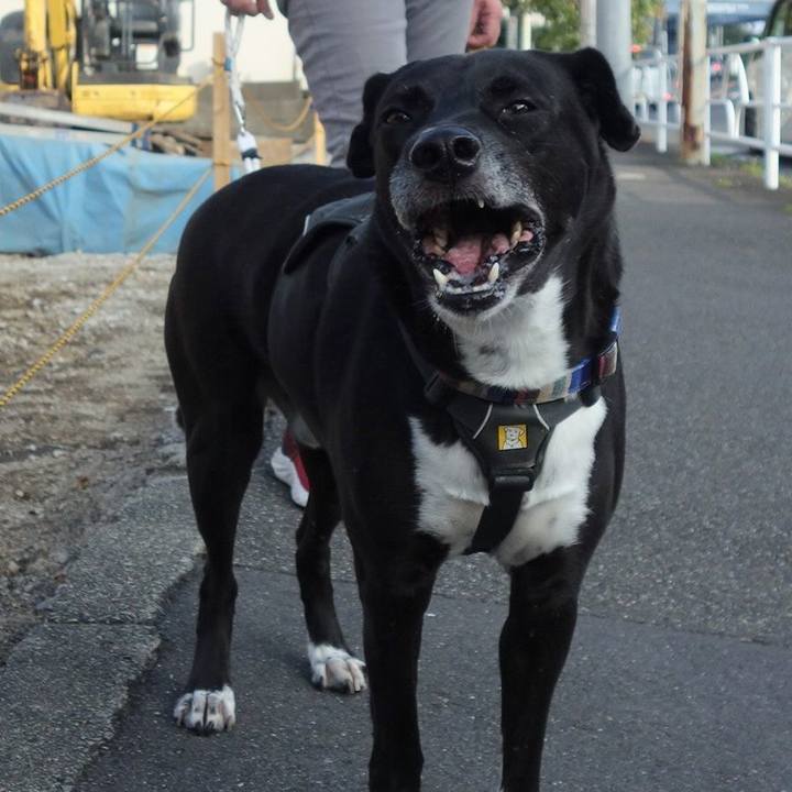 A0240b2e 317d 4a25 a86e ac5145cbba7a 1664238631825